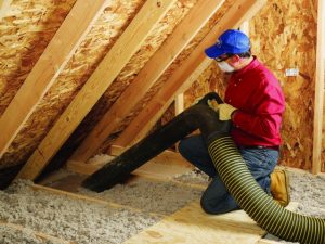 Attic Insulation Removal