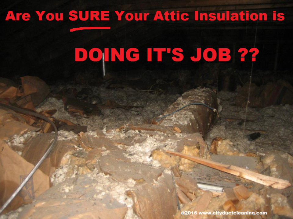 A good canditate for attic insulation removal.