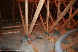 attic-insulation-removal-03x               