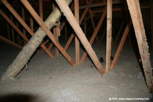 attic-insulation-removal-04x               