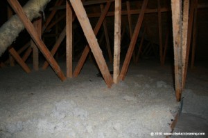 attic-insulation-removal-06x            